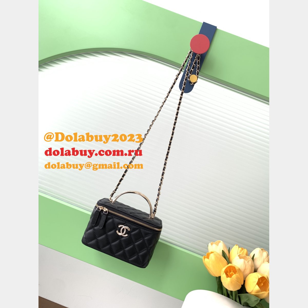 From China Manufacturer Vanity AP4317 Replica Bag
