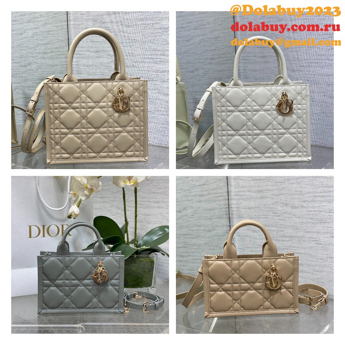 Luxury Designer dior small /mini dior book tote 2024