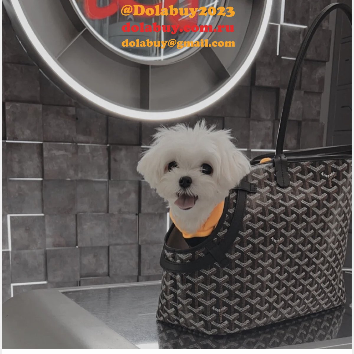 Designer Goyard Chien Gris & Pocket Pet bag