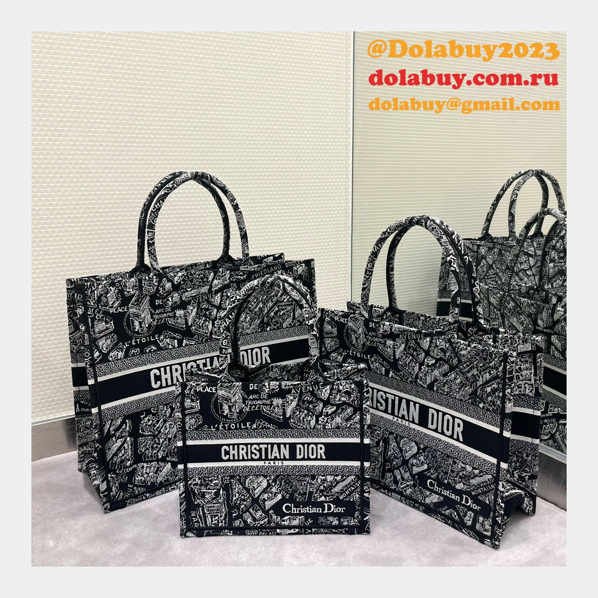 What Best Sellers Christian Dior CD Book Tote Replica Bag Dolabuy