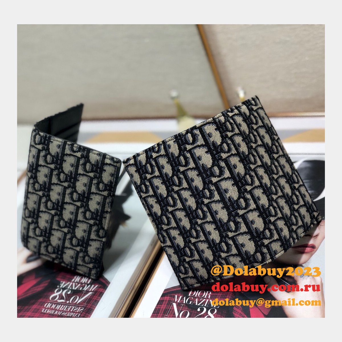 AAA+ Replica Dior Passport Holder
