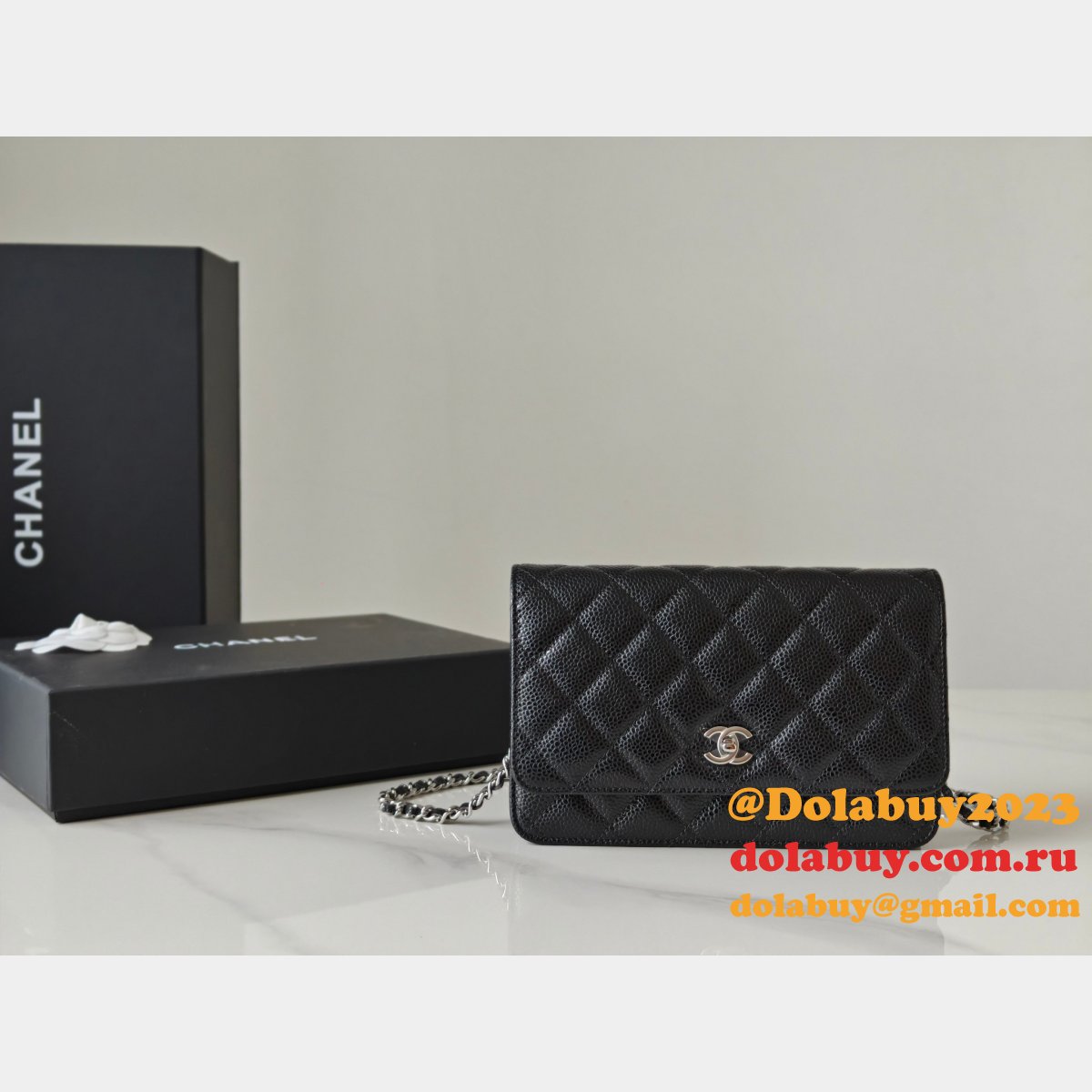 Fashion AP4241 Chain Wallet Knockoff Black Bag