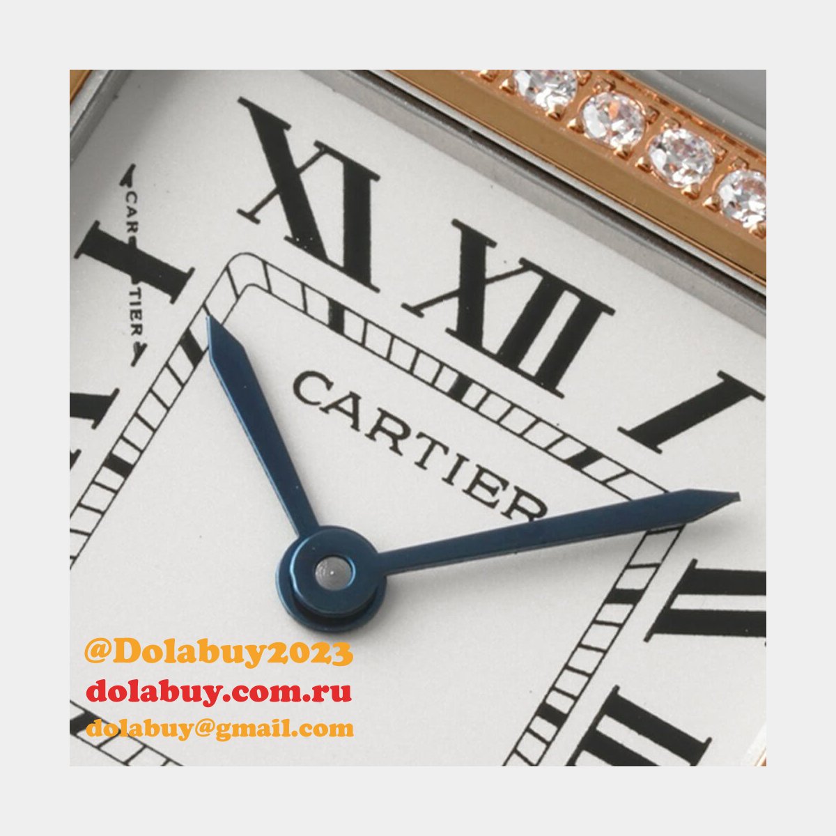 Cartier Medium Panthere de Cartier watch