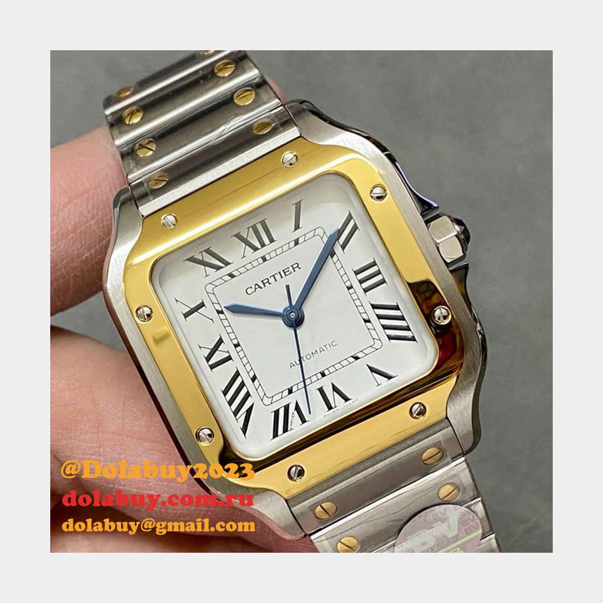 Cartier Medium Santos de Cartier watch