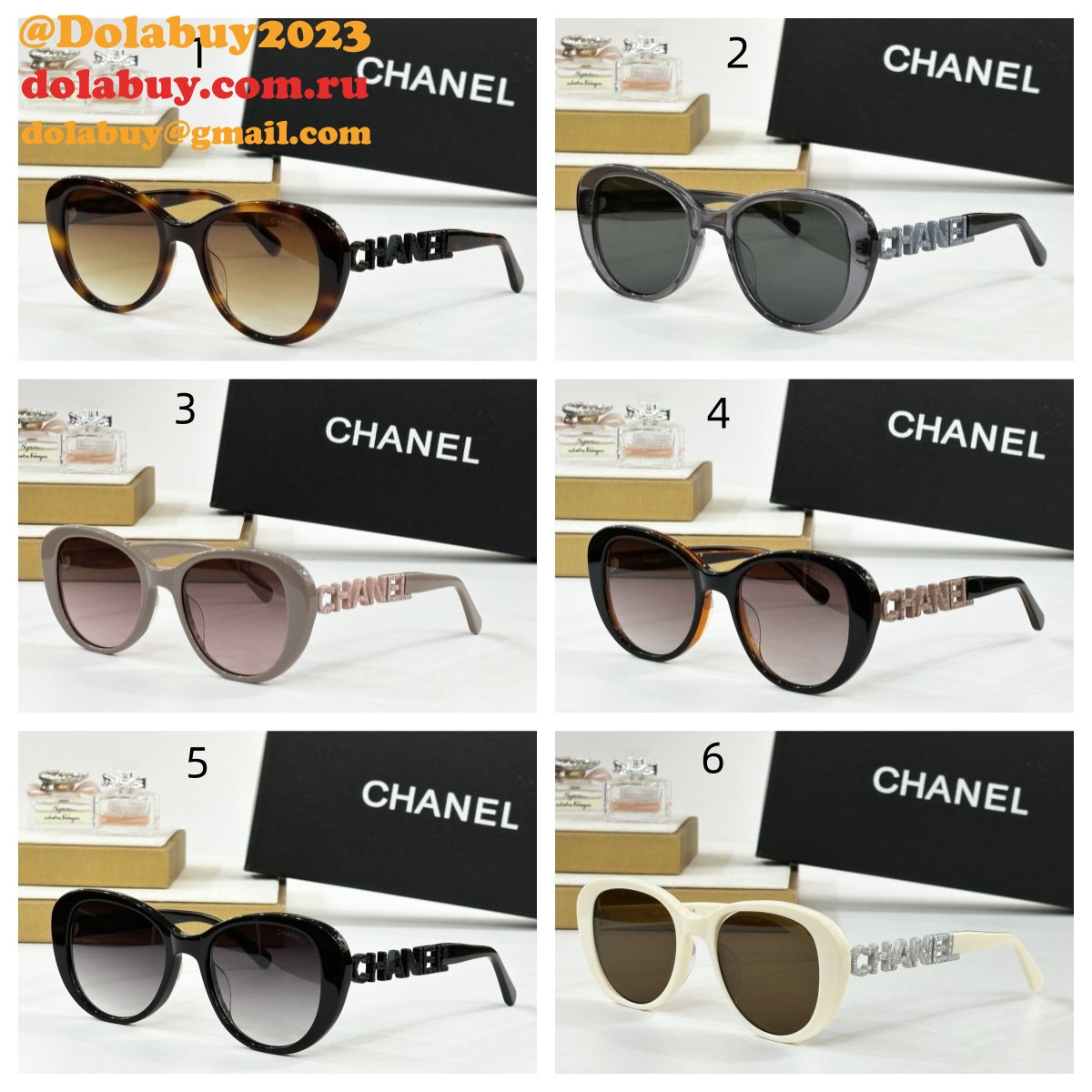 2025 CH 8048 Sunglasses
