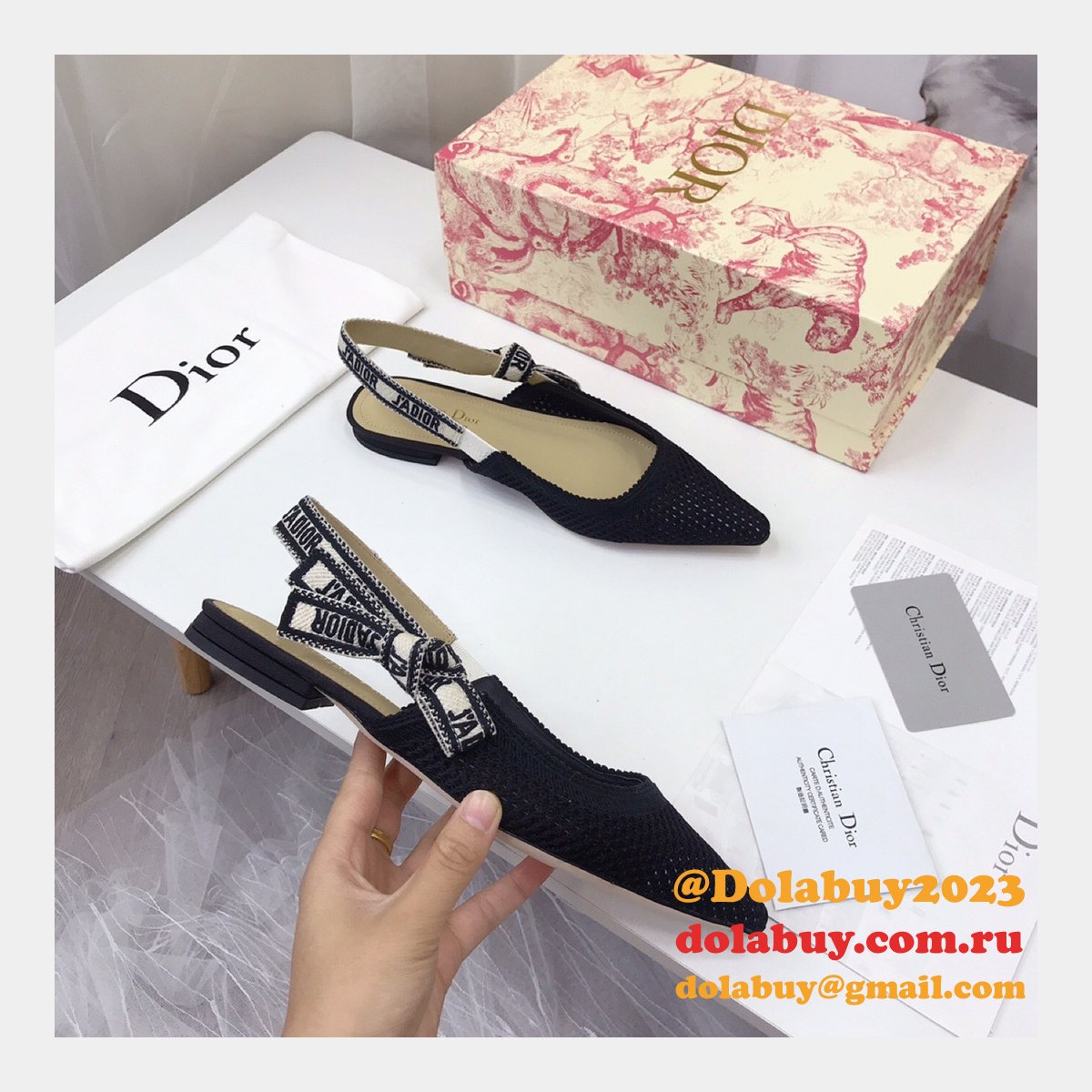 Luxury High Quality Fashion Designer Dior Shoes