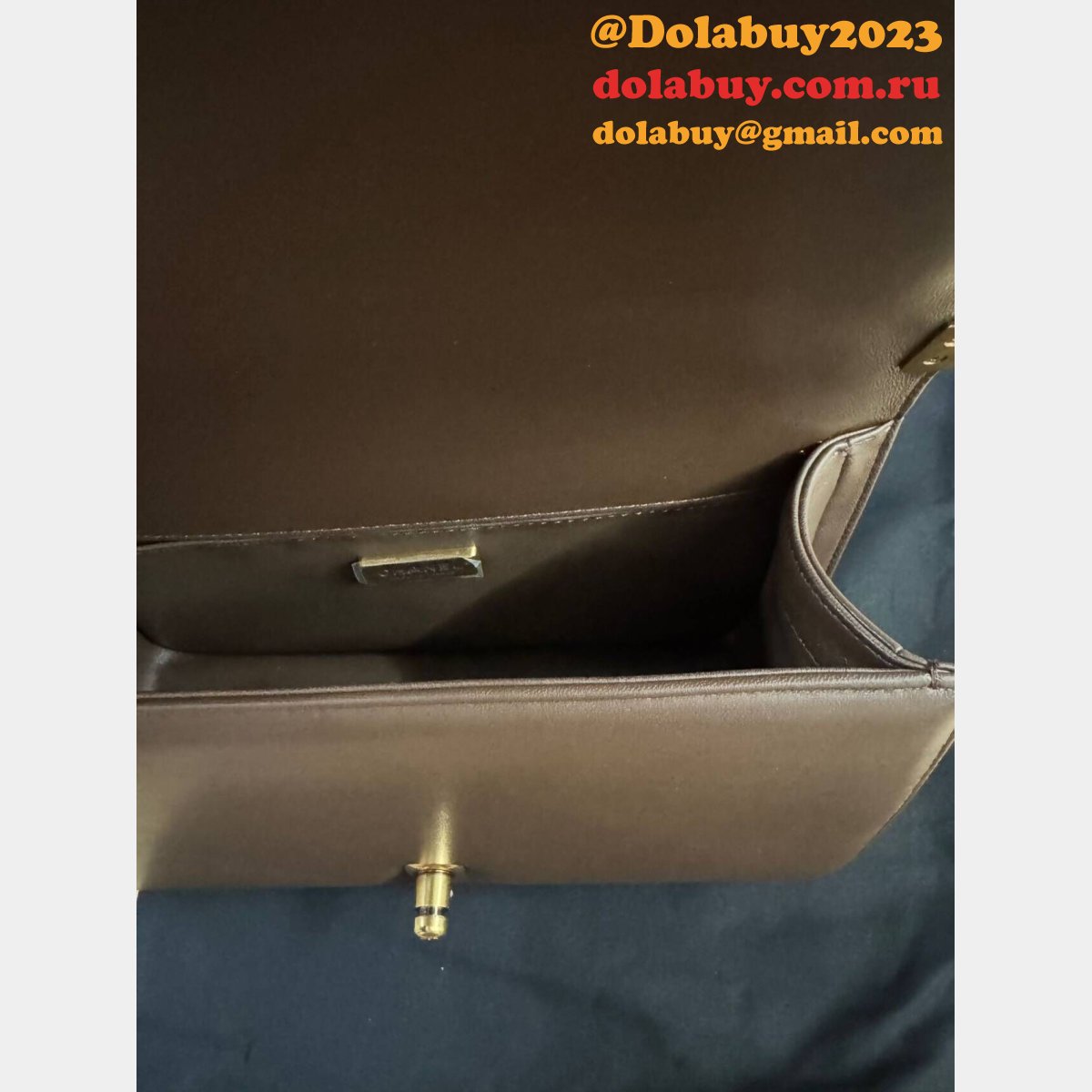 Best Luxury CC Snake SKIN Le Boy Handbag 25CM