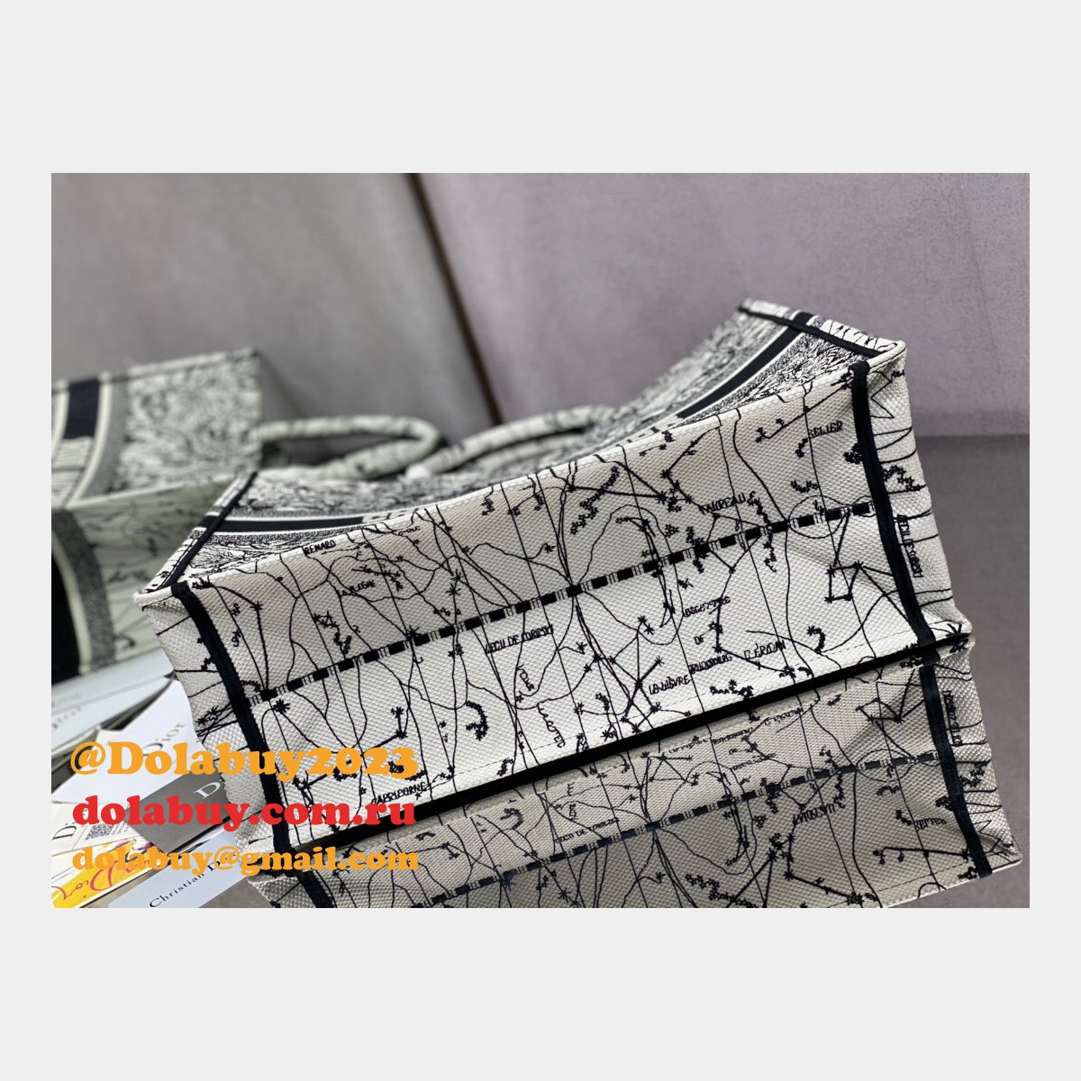 Replica Christian Dior Trotter Pattern Hand CD Book Tote Bag