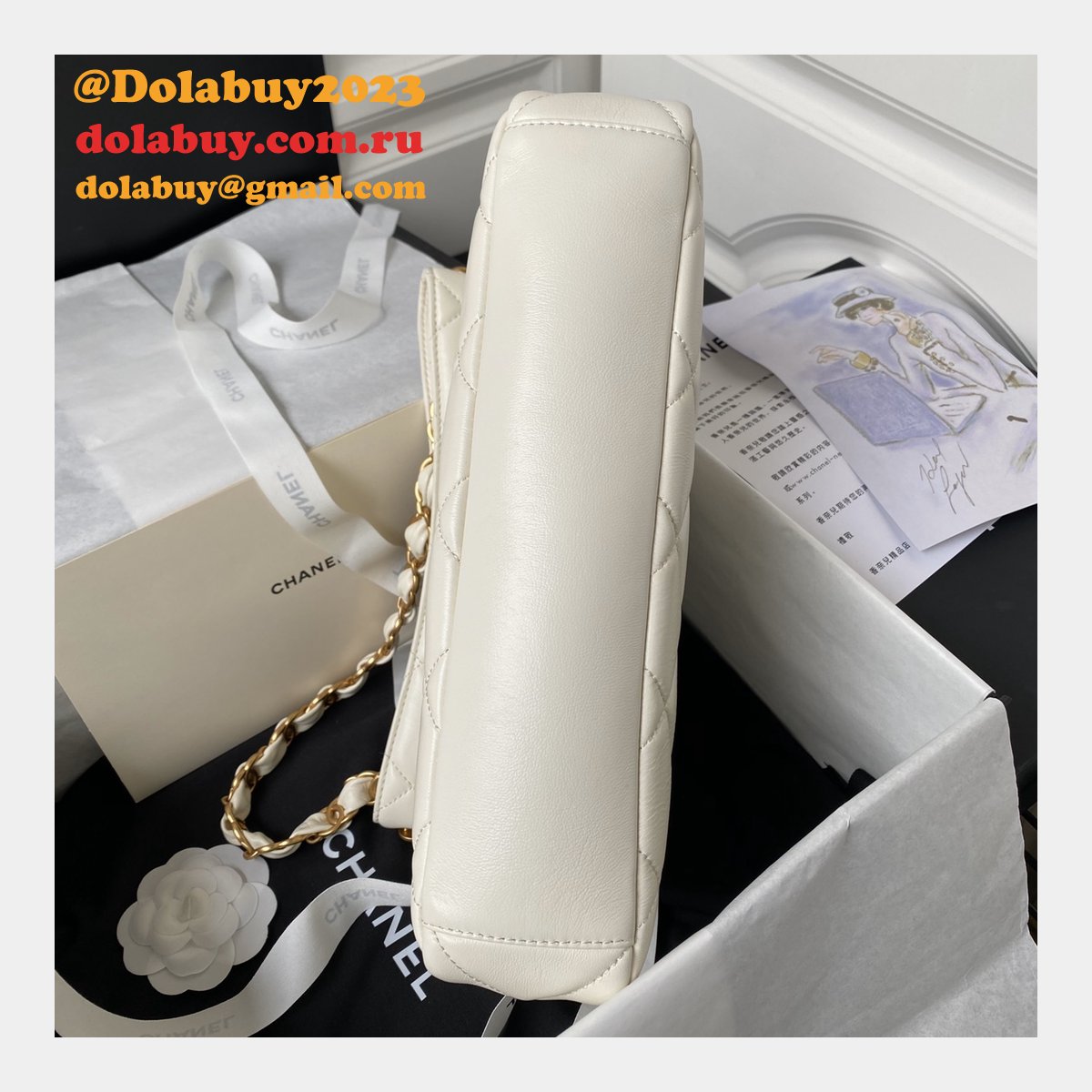 Plain Copy Hobo Luxury Elegant Formal Top Quality AS4754 Replica Bag