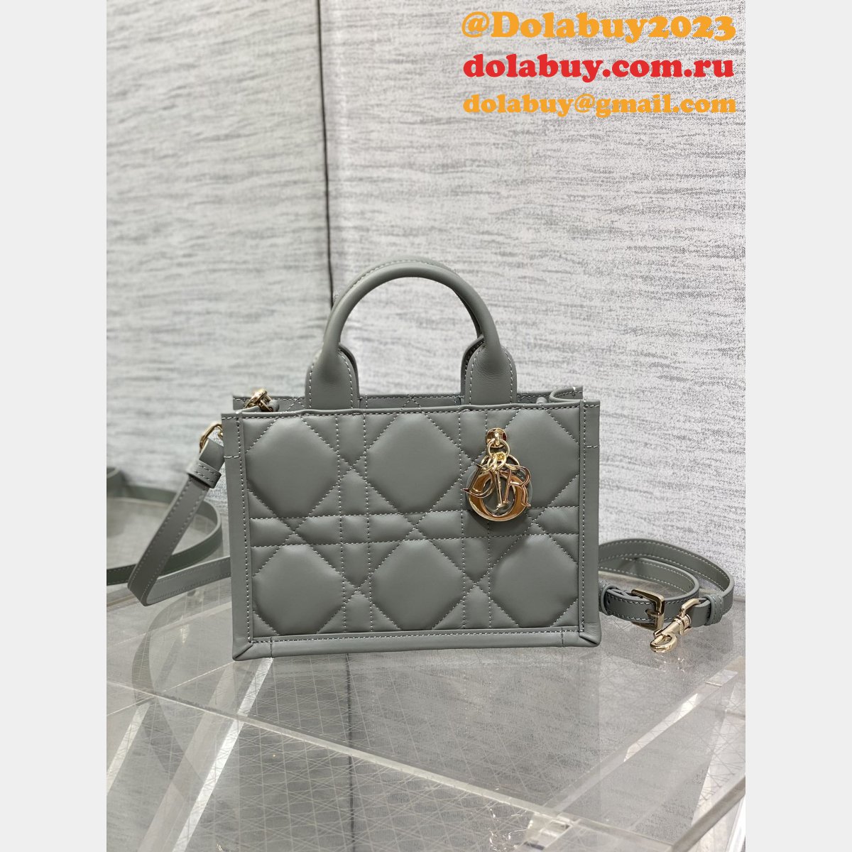 Luxury Designer dior small /mini dior book tote 2024