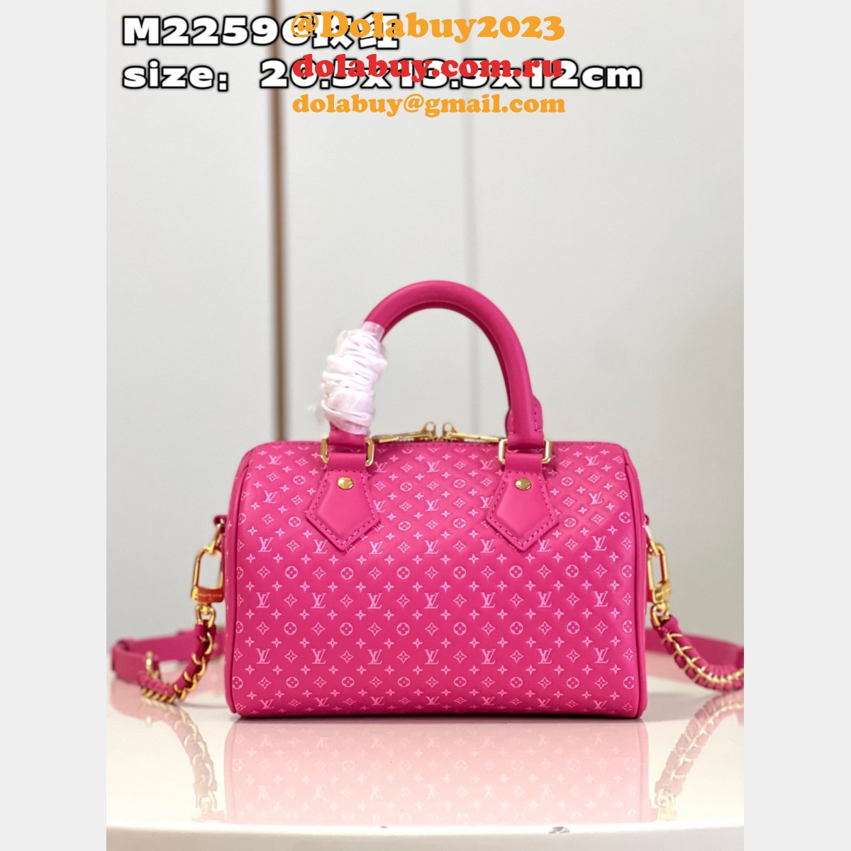 Speedy Replica Louis Vuitton M22595 Bandoulière 20 H27 Bag