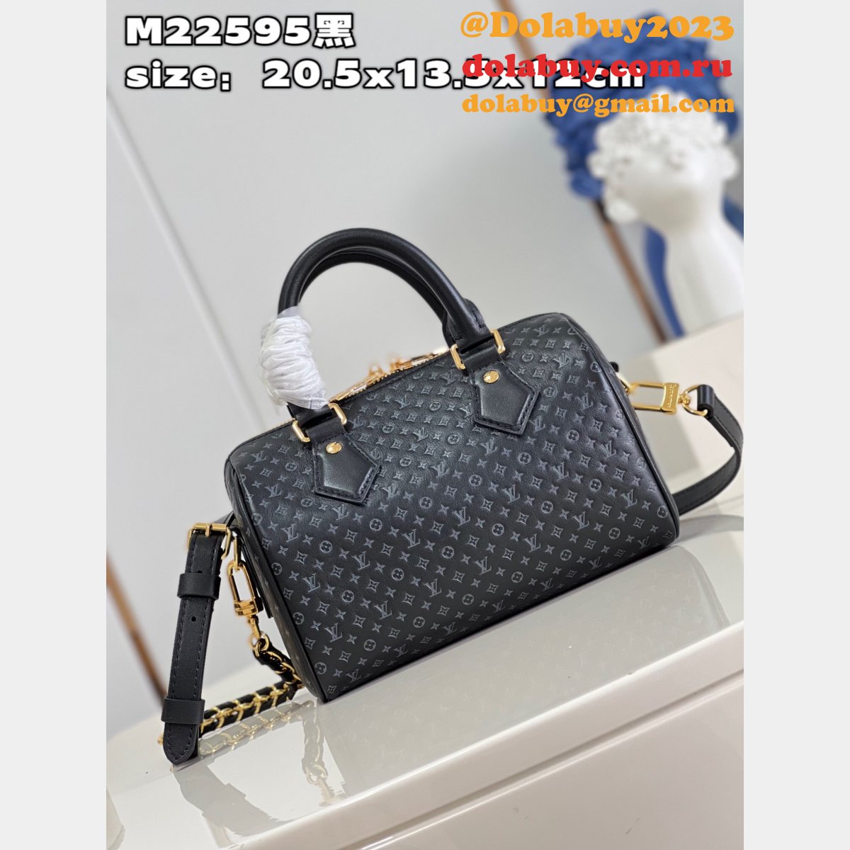 Speedy Replica Louis Vuitton M22595 Bandoulière 20 H27 Bag