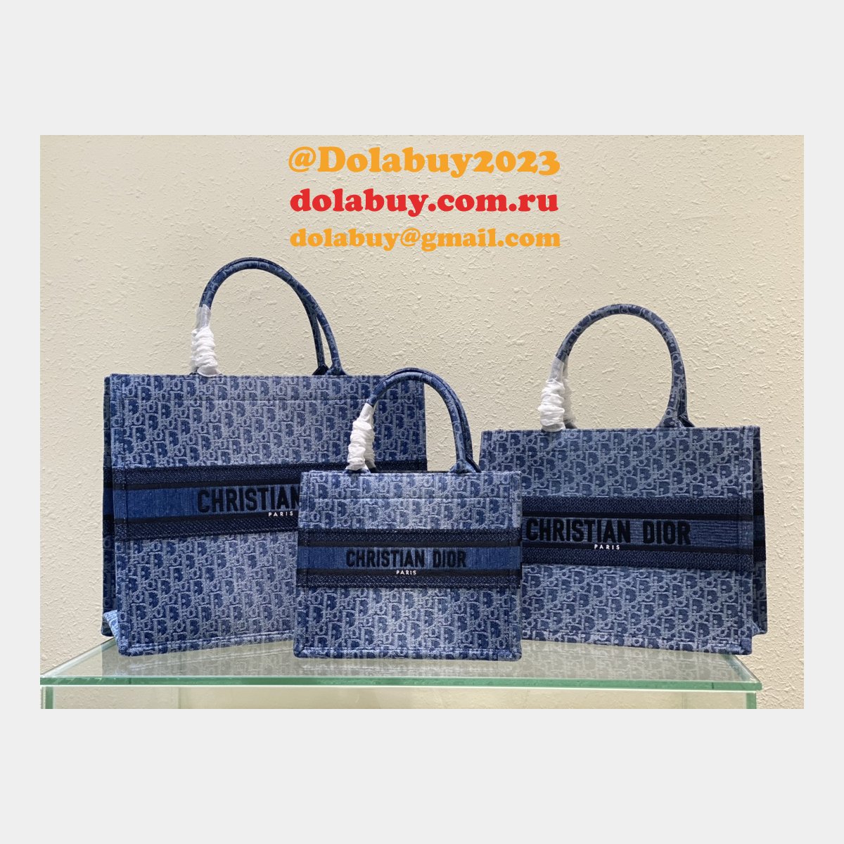 Luxury Dior Book Tote denim 2024 new bag