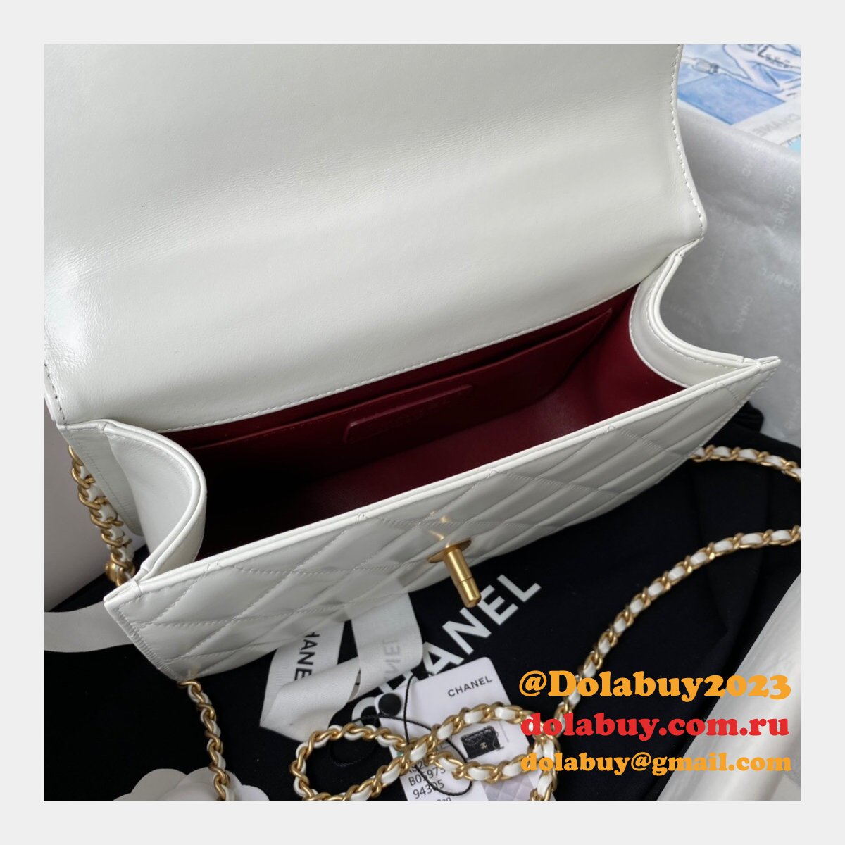 1:1 Replica AS2649 Calfskin & Gold-Tone Metal Flap Bag