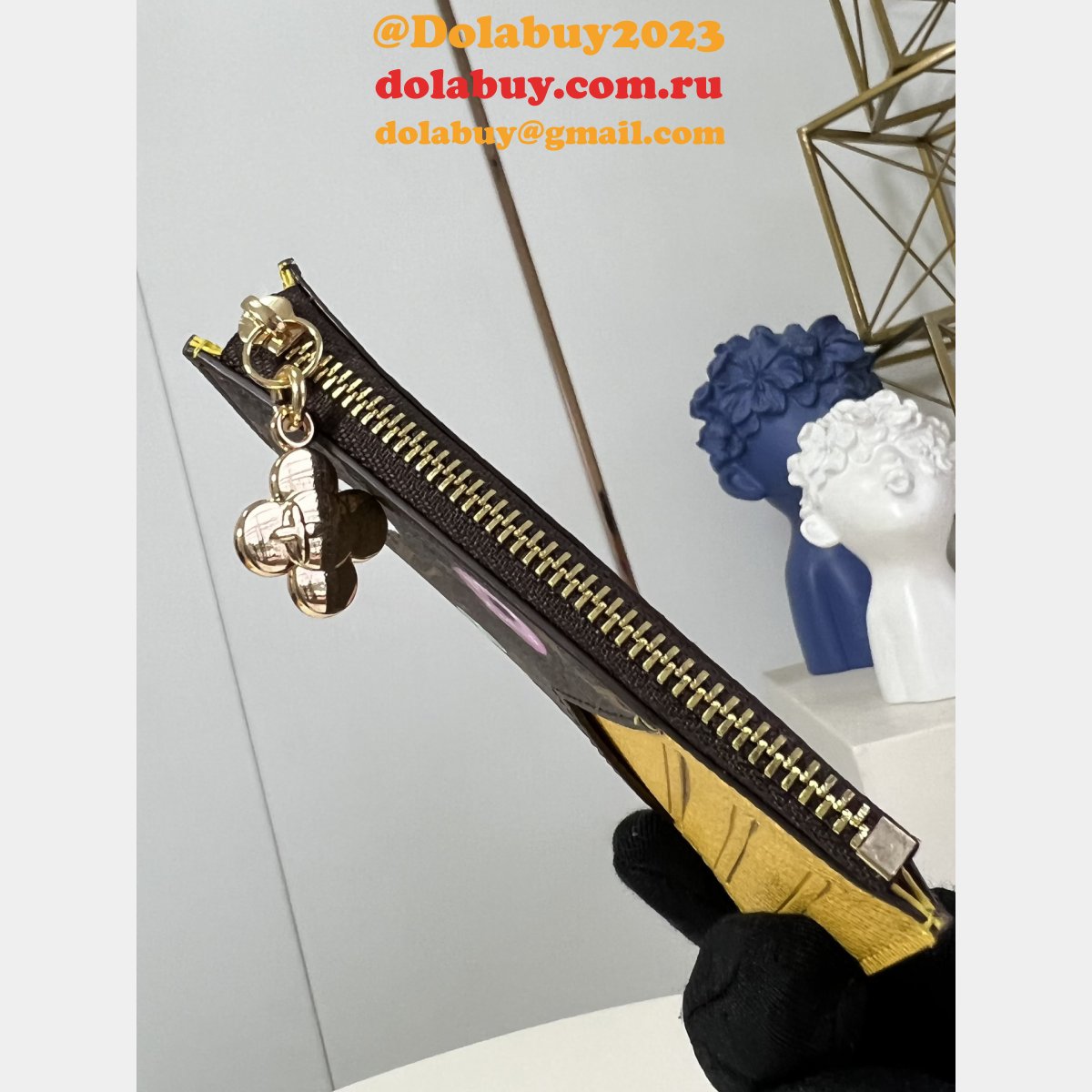 Louis Vuitton Designer Zippy Nano Noé Lisa Wallet Knockoff