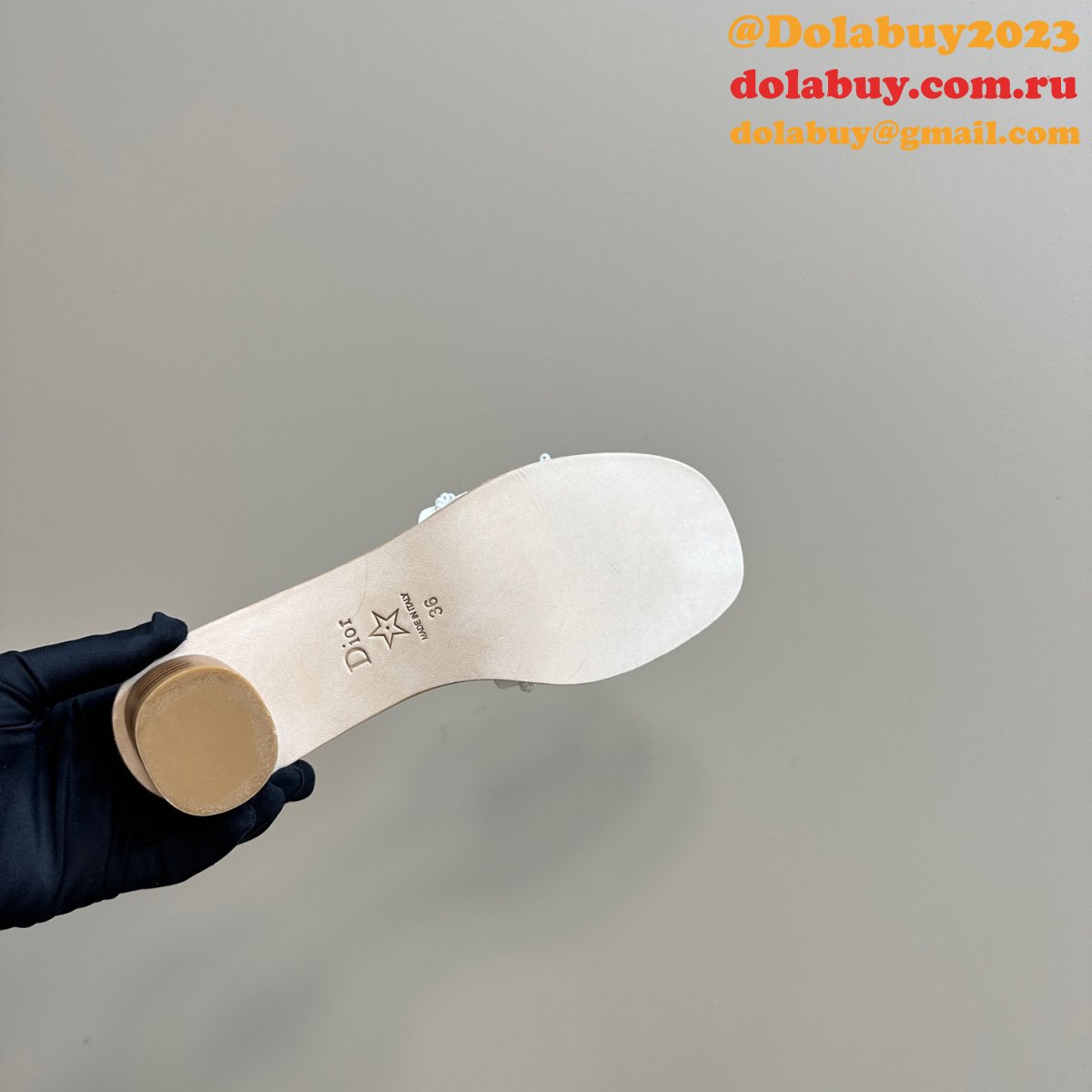 Fashion Dior Dway Heeled Slide