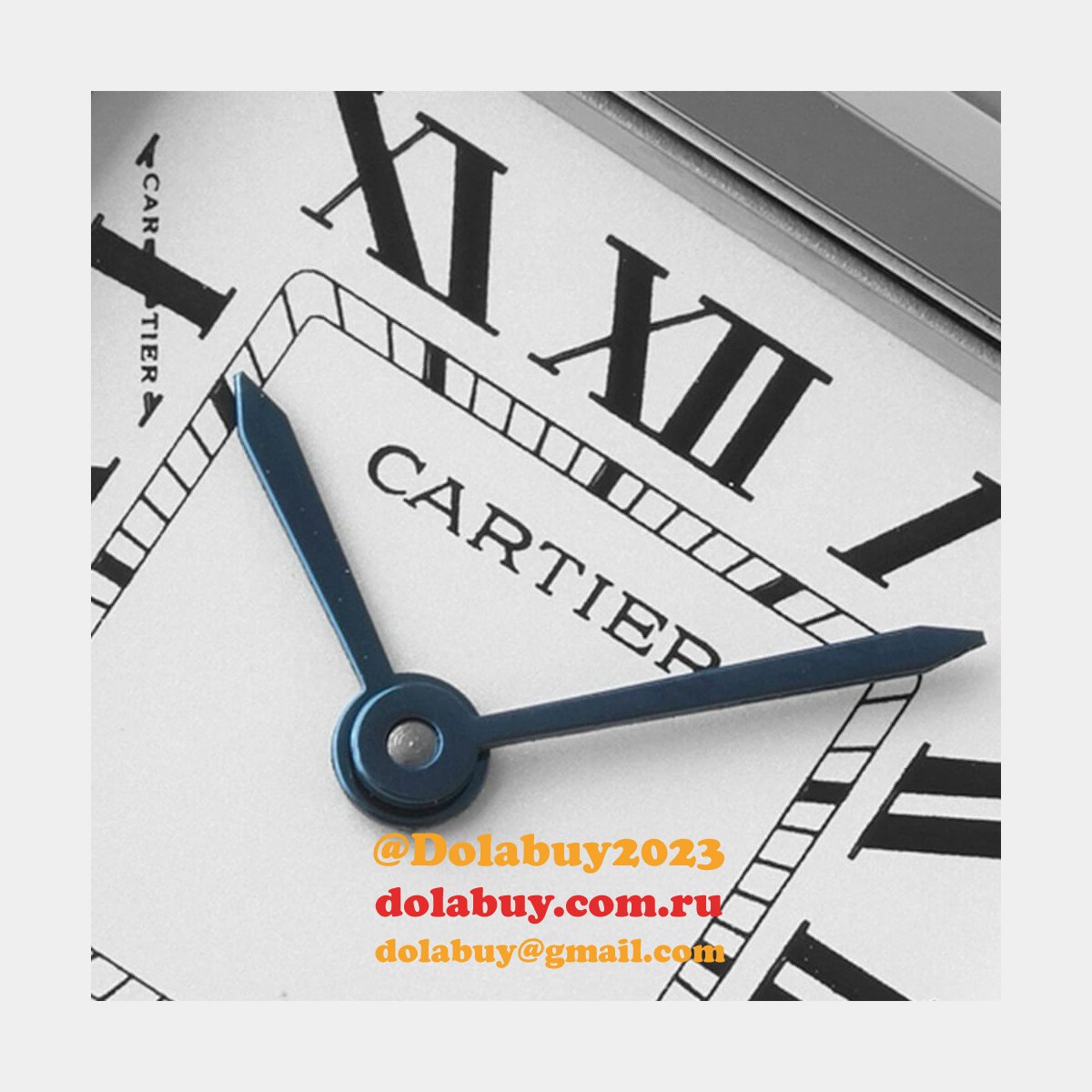 Cartier Medium Panthere de Cartier watch