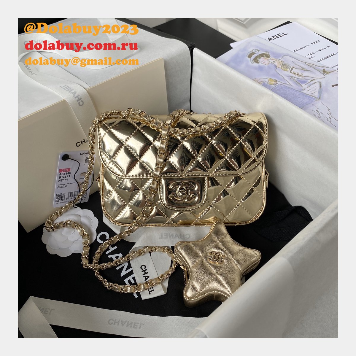 Designer Star Coin Purse AS4648/AS4647/AS4646 Flap Replica Bag