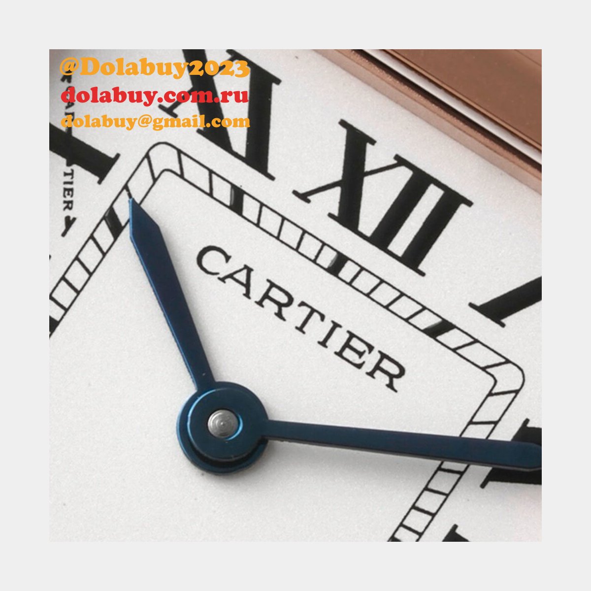 Cartier Medium Panthere de Cartier watch