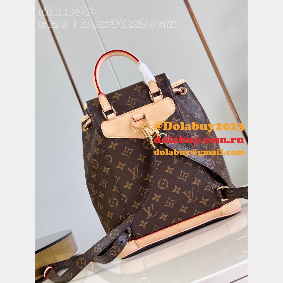 Louis Vuitton Designer Montsouris PM Monogram M11198 Top Quality Bag