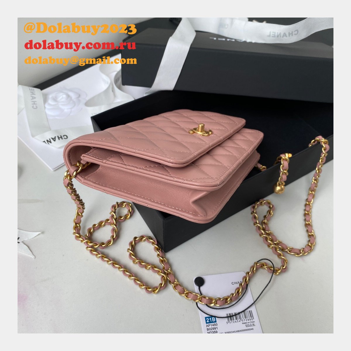 Replica 19CM Iridescent Wallet On Chain WOC AP1450 Bag