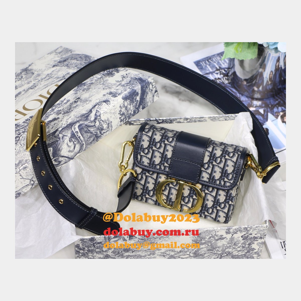 Best Dior Montaigne minibox