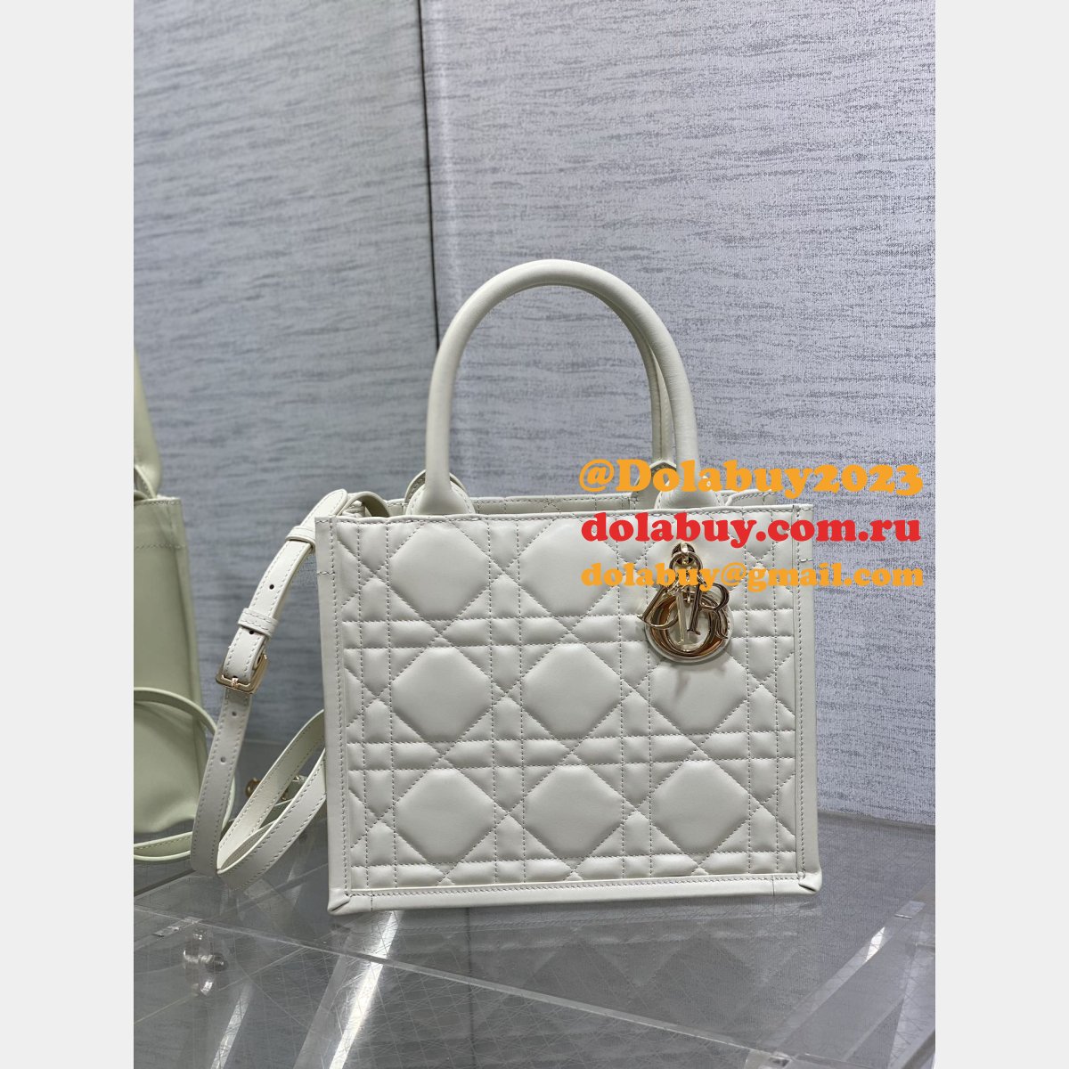 Luxury Designer dior small /mini dior book tote 2024