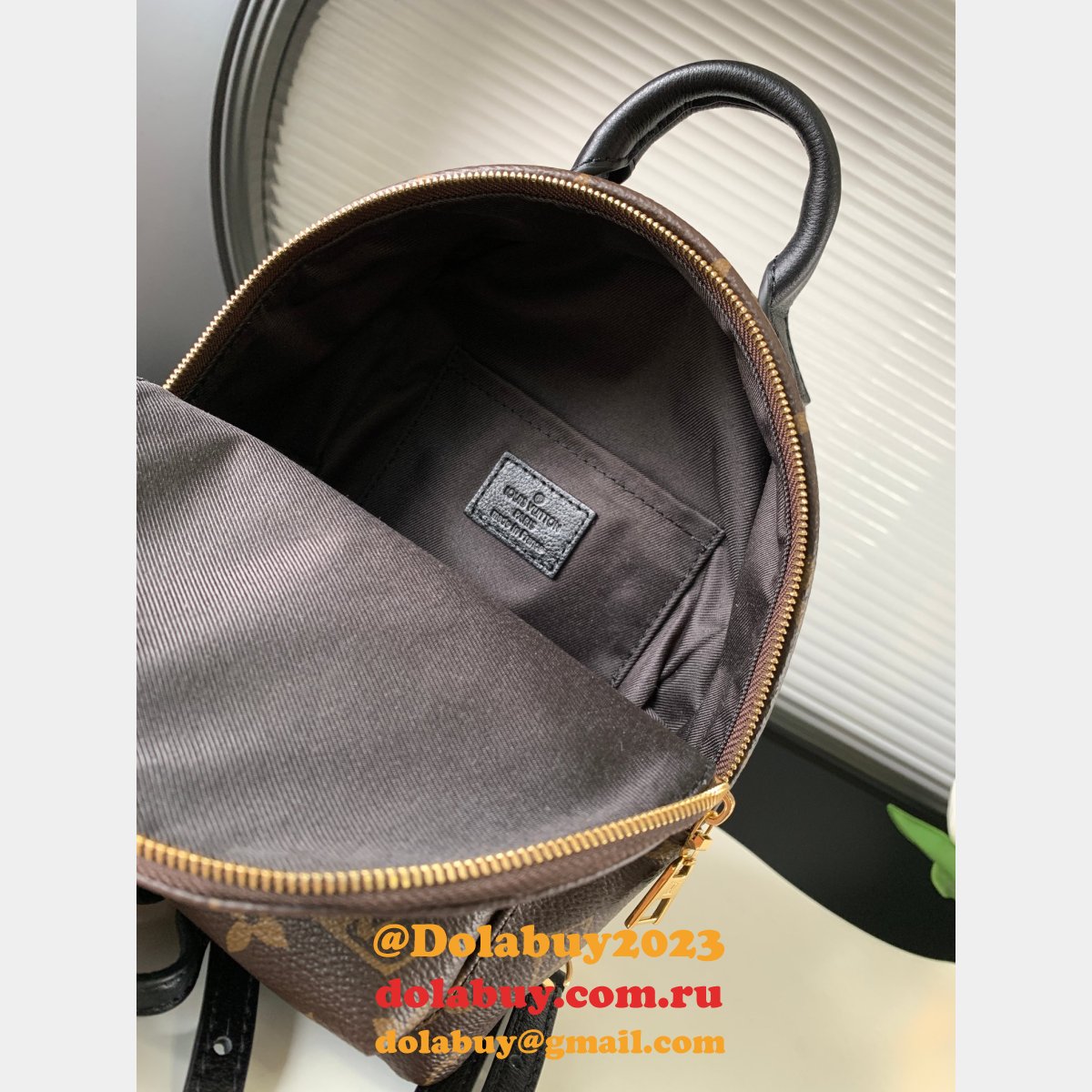 Top Quality Classical Palm Springs Louis Vuitton backpack