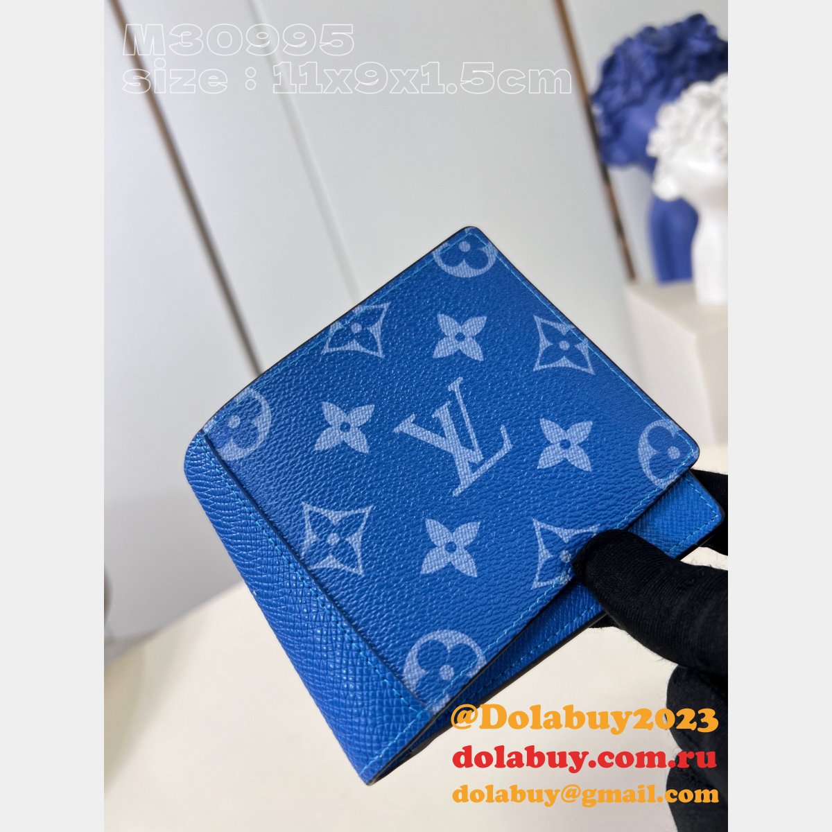 M30994/M30993/M30999/M30995/M31041 LV Zippy Brazza Coin Multiple Pocket Organizer