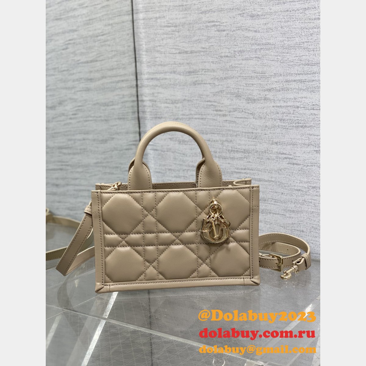 Luxury Designer dior small /mini dior book tote 2024