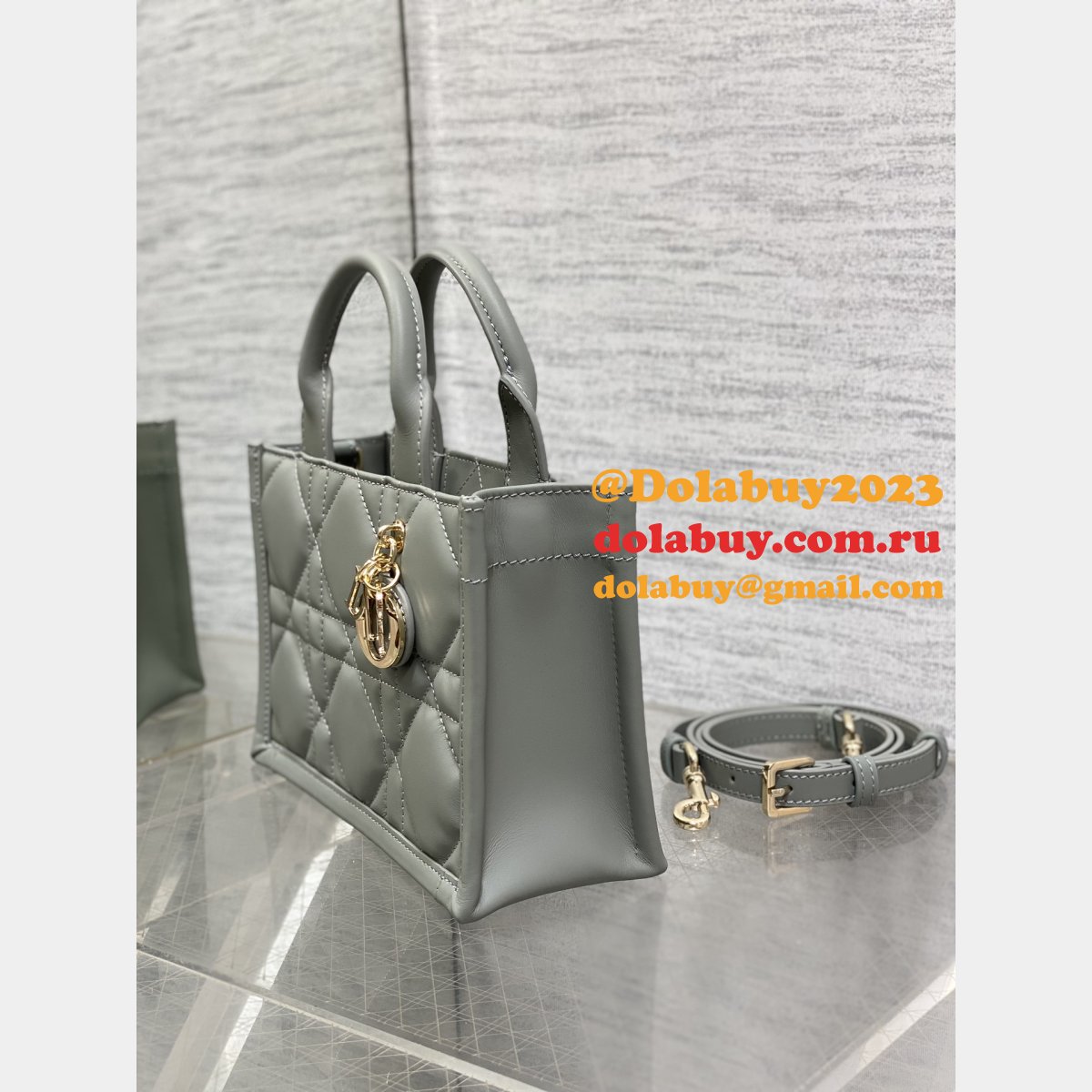 Luxury Designer dior small /mini dior book tote 2024