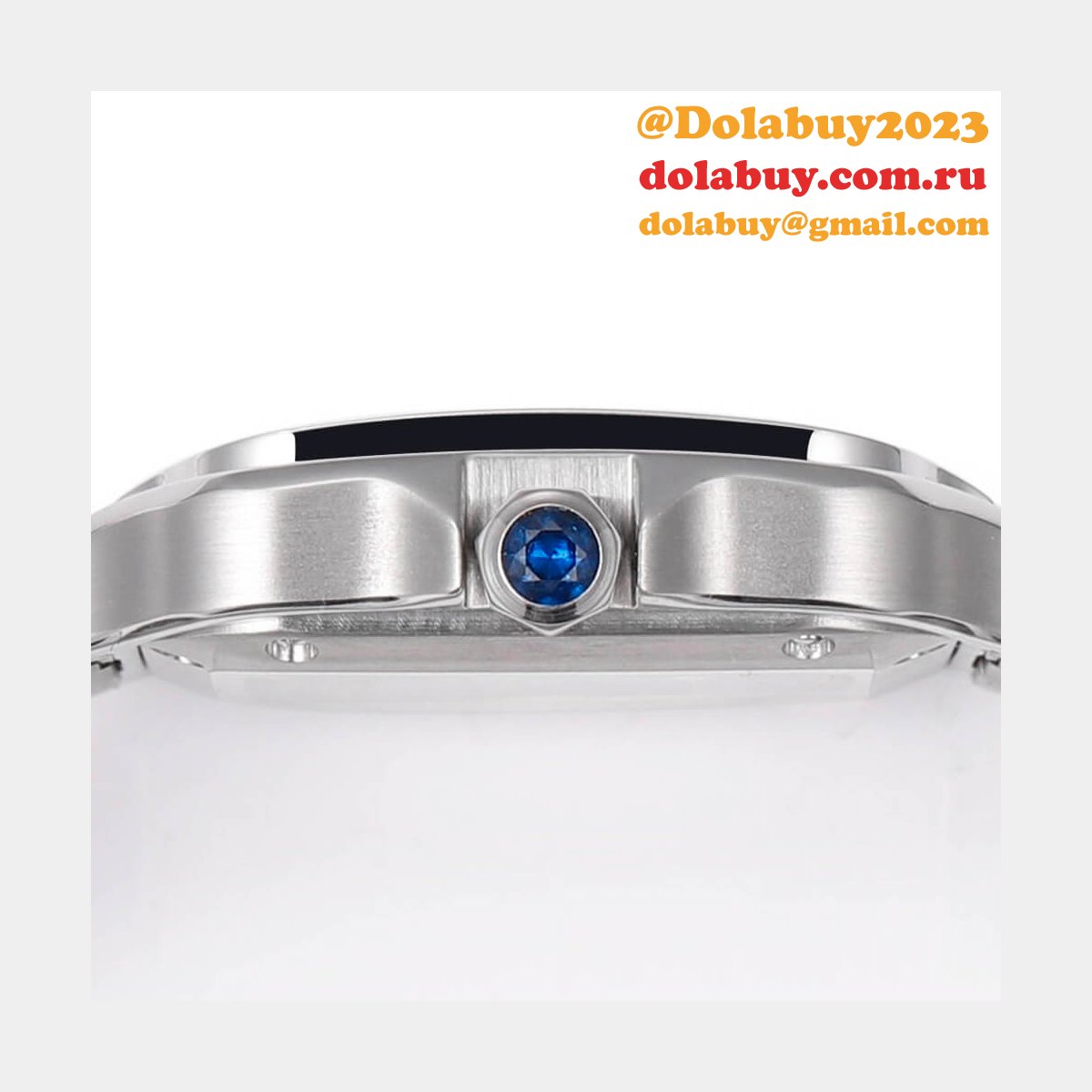 Cartier Medium Santos de Cartier watch