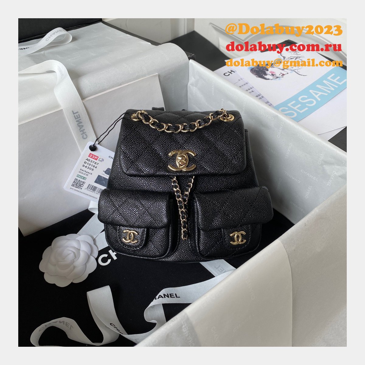 Wholesales High Quality Backpack AS3860/AS3787 Store Bag