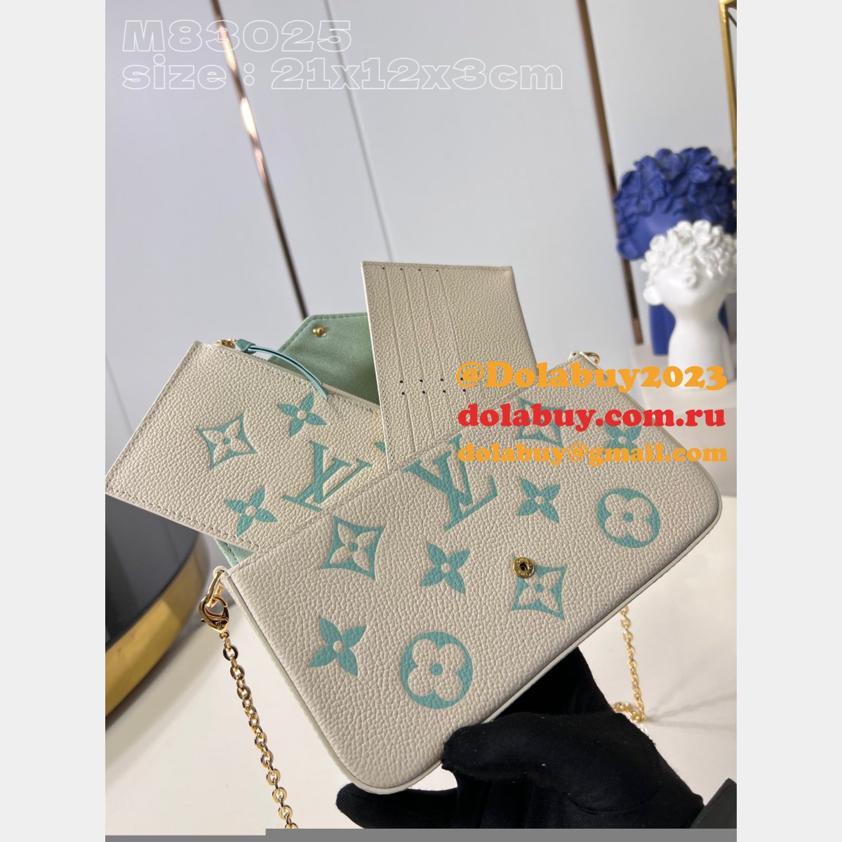 Félicie Pochette Knockoff M64064/M83025 Louis Vuitton Designer Bag