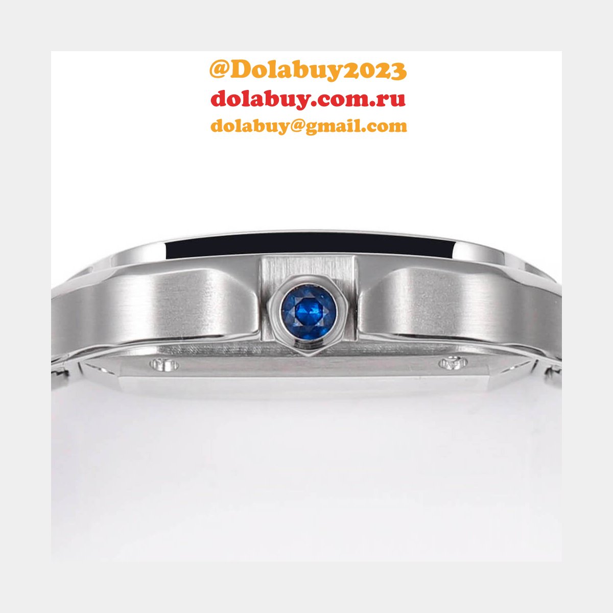 Cartier Medium Santos de Cartier watch