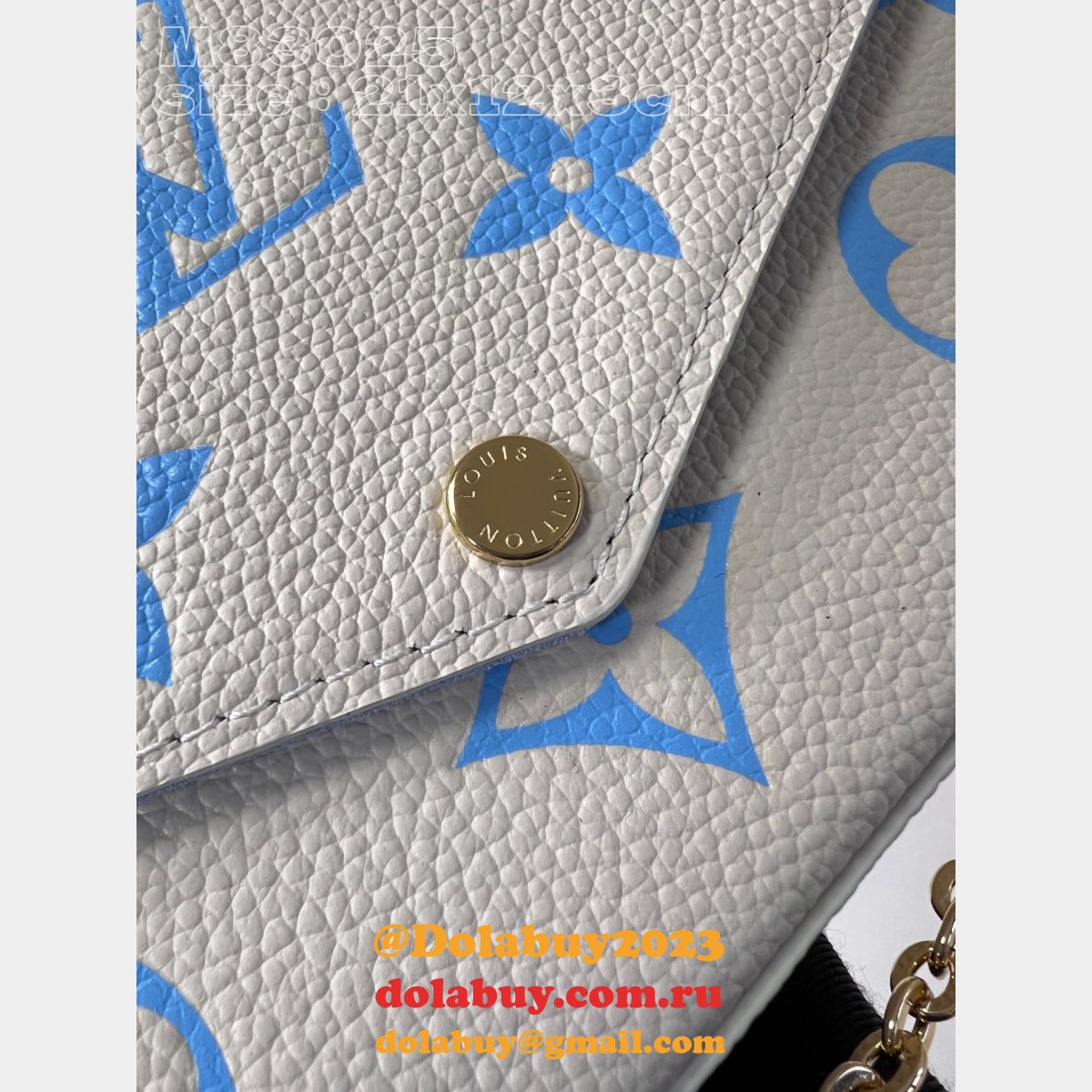 Félicie Pochette Knockoff M64064/M83025 Louis Vuitton Designer Bag