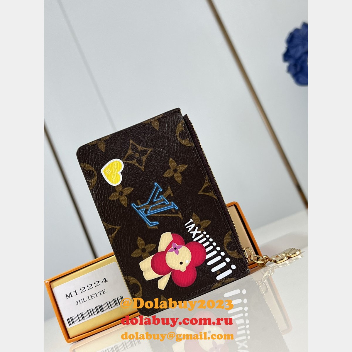 Louis Vuitton Designer Zippy Nano Noé Lisa Wallet Knockoff