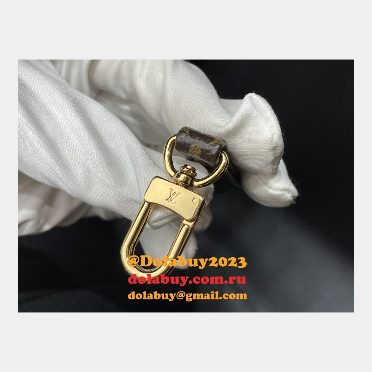 Dog Carrier M45662 Trunks and Travel Louis Vuitton Replica Store