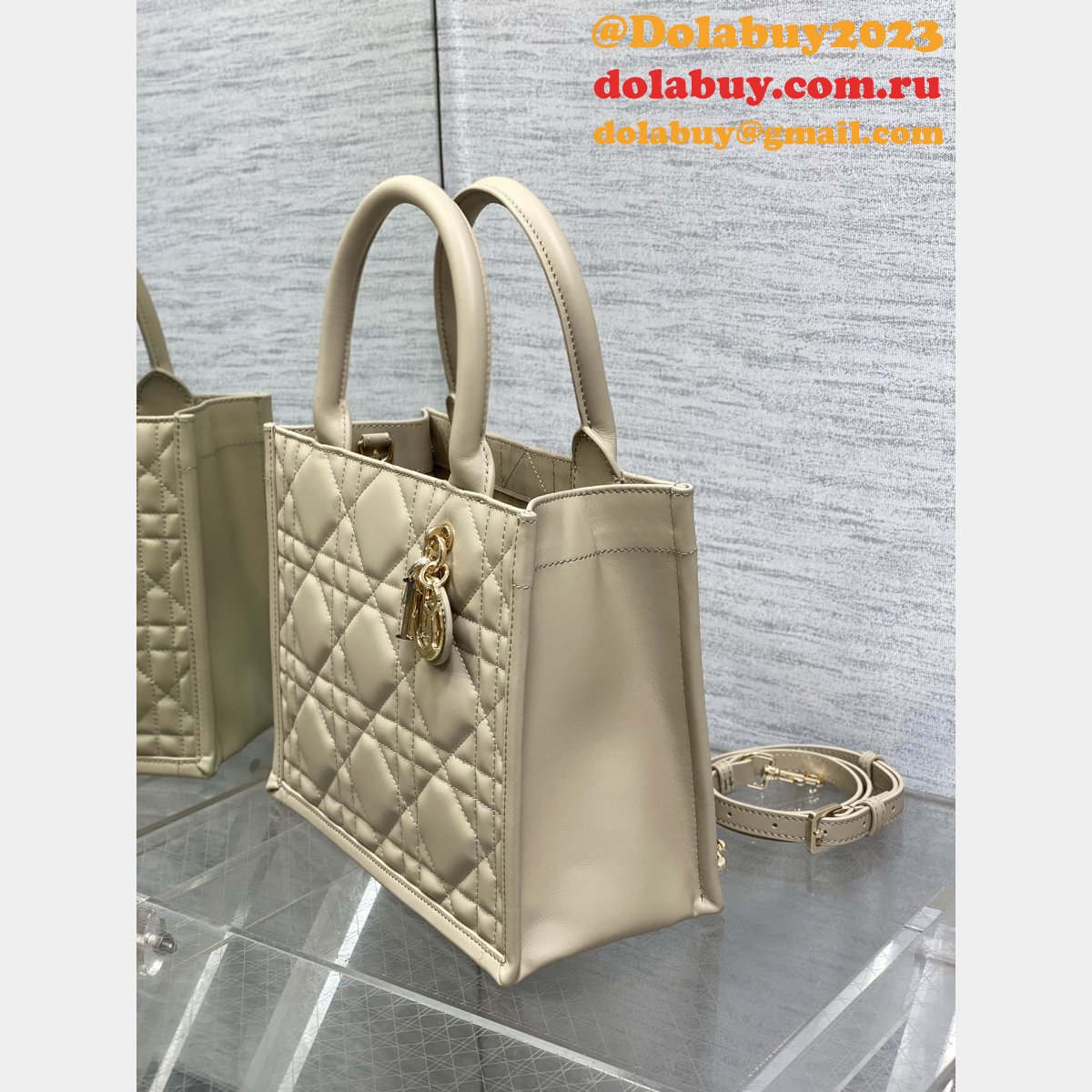 Luxury Designer dior small /mini dior book tote 2024