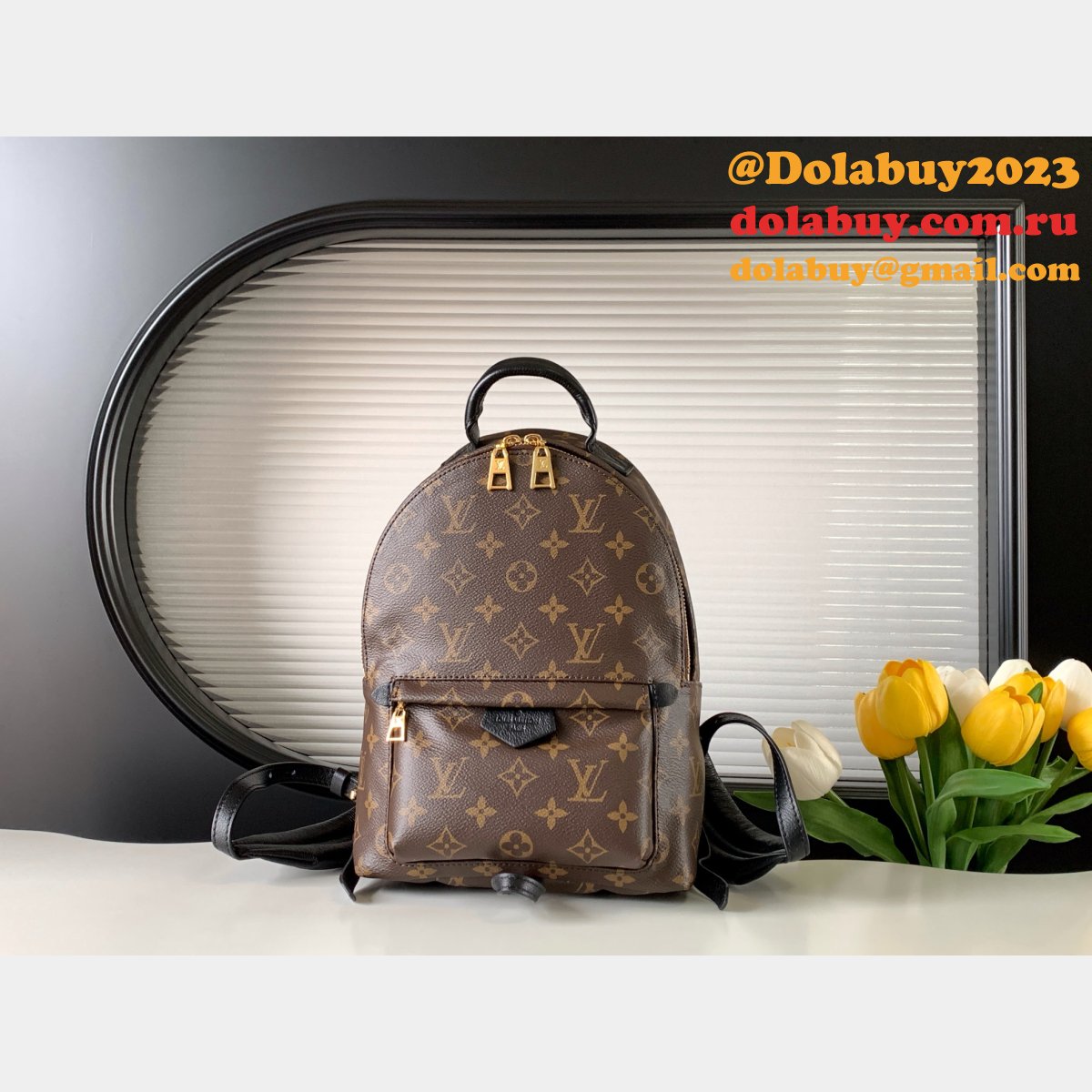 Top Quality Classical Palm Springs Louis Vuitton backpack