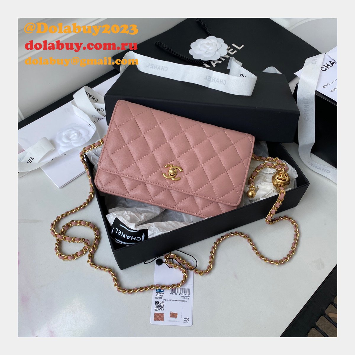 Replica 19CM Iridescent Wallet On Chain WOC AP1450 Bag