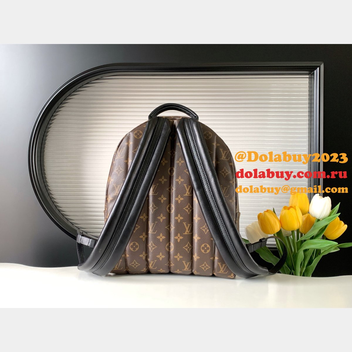 Top Quality Classical Palm Springs Louis Vuitton backpack