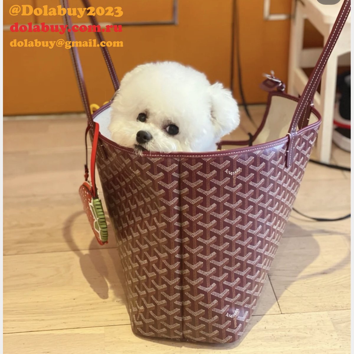Top Quality Goyard Chien Gris & Pocket Pet bag