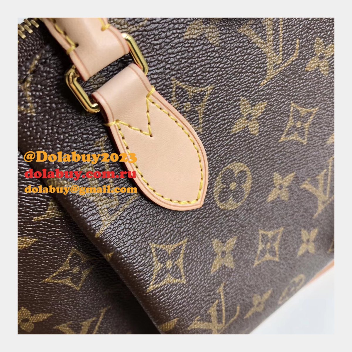 Luxury Louis Vuitton Wholesale Monogram Teyuren PM 2way Shoulder M48813 Bag