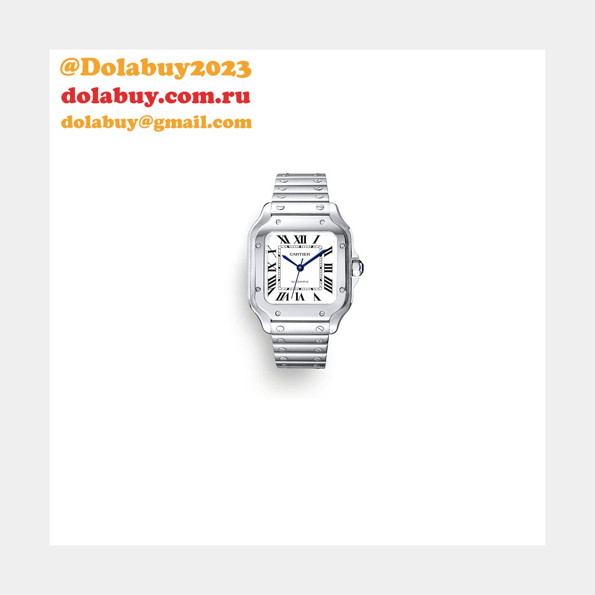 Cartier Medium Santos de Cartier watch