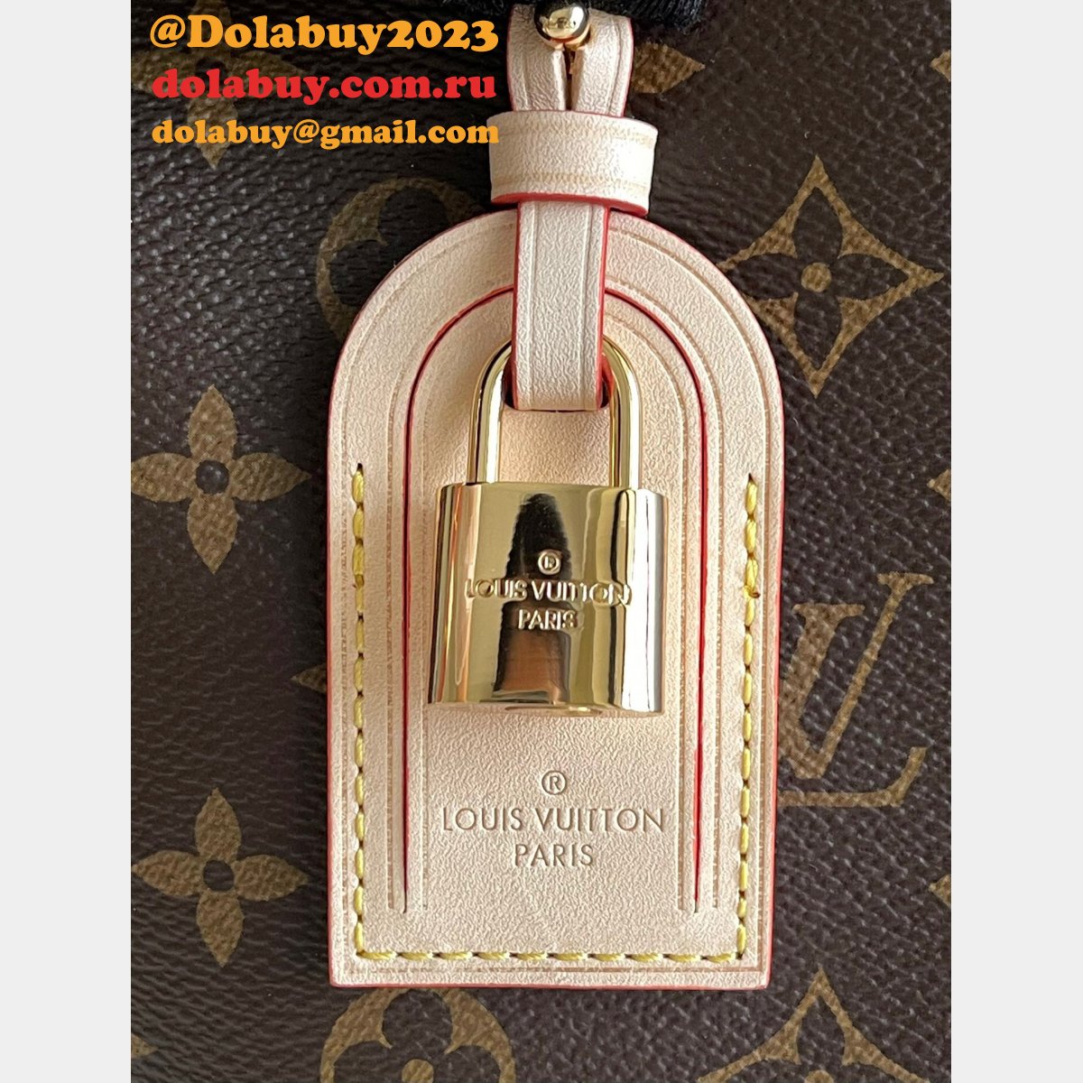 Shop For Quality Louis Vuitton Replica Monogram M45898 Bags