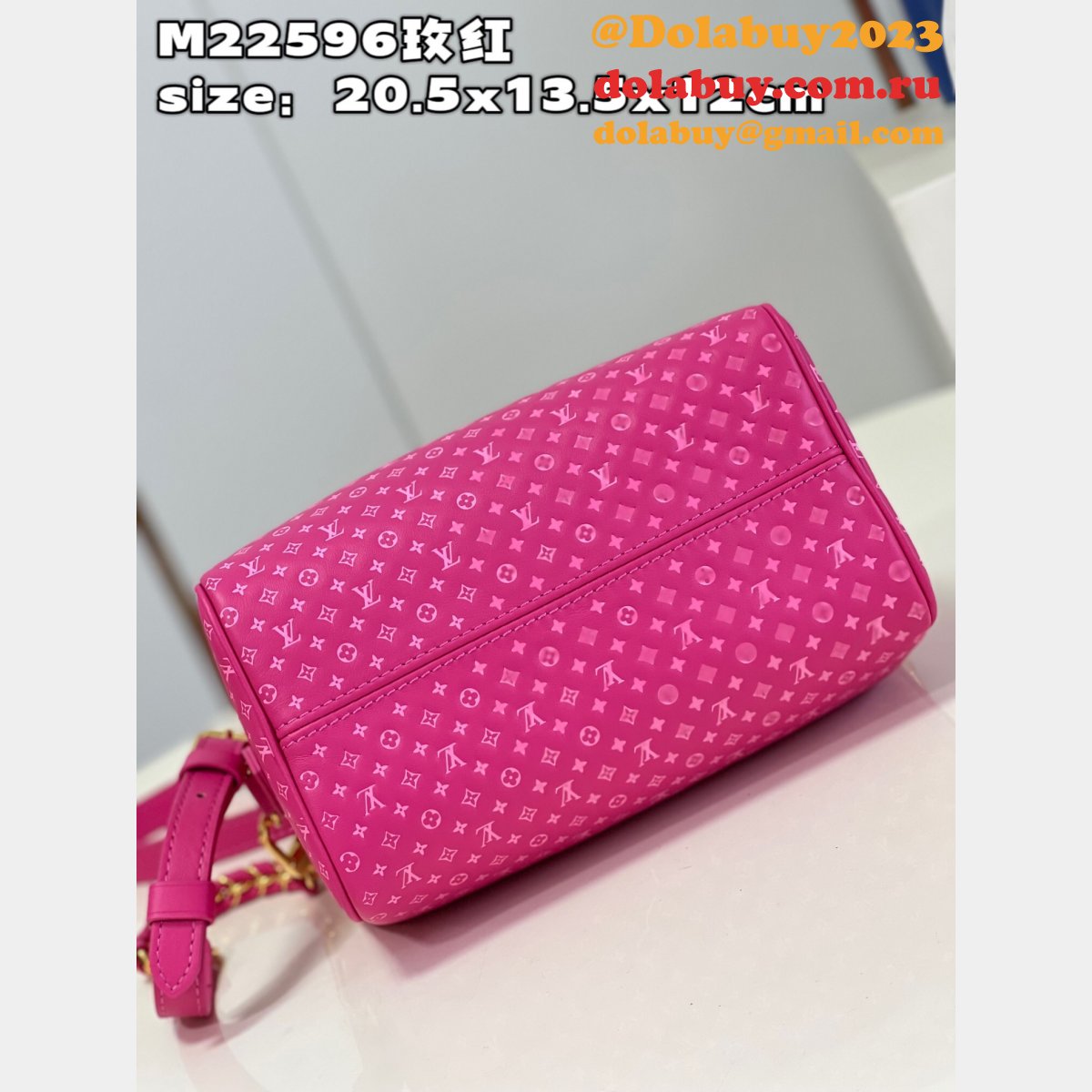 Speedy Replica Louis Vuitton M22595 Bandoulière 20 H27 Bag