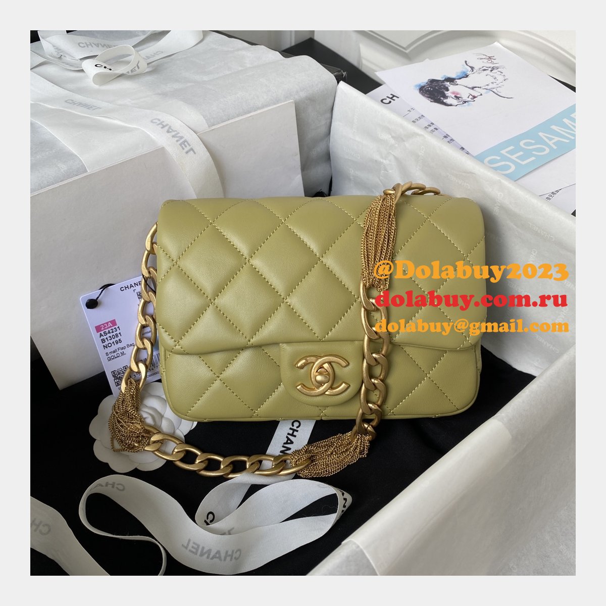 Fashion Buy Multi-function Replica AS4231 Flap Bag