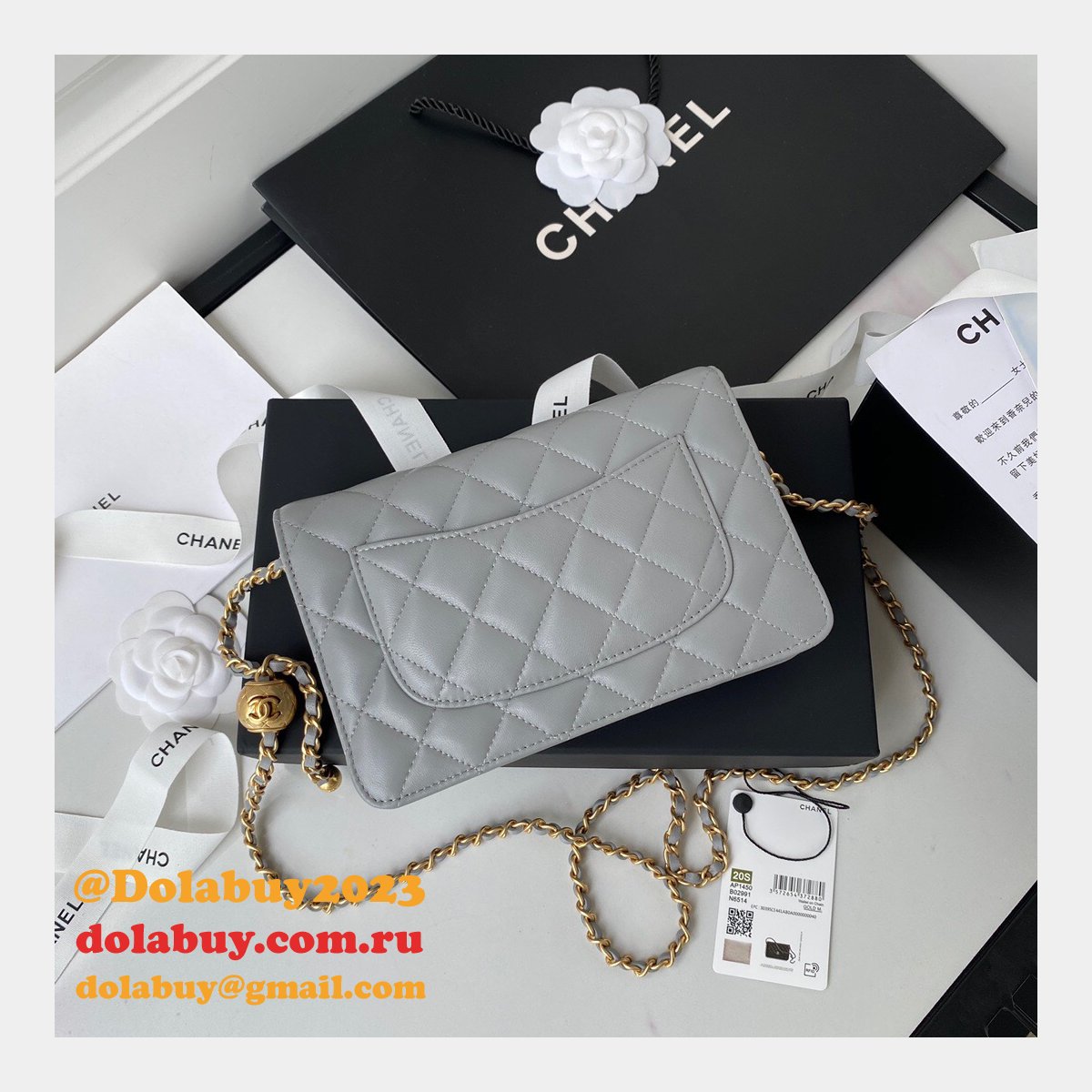 Replica 19CM Iridescent Wallet On Chain WOC AP1450 Bag