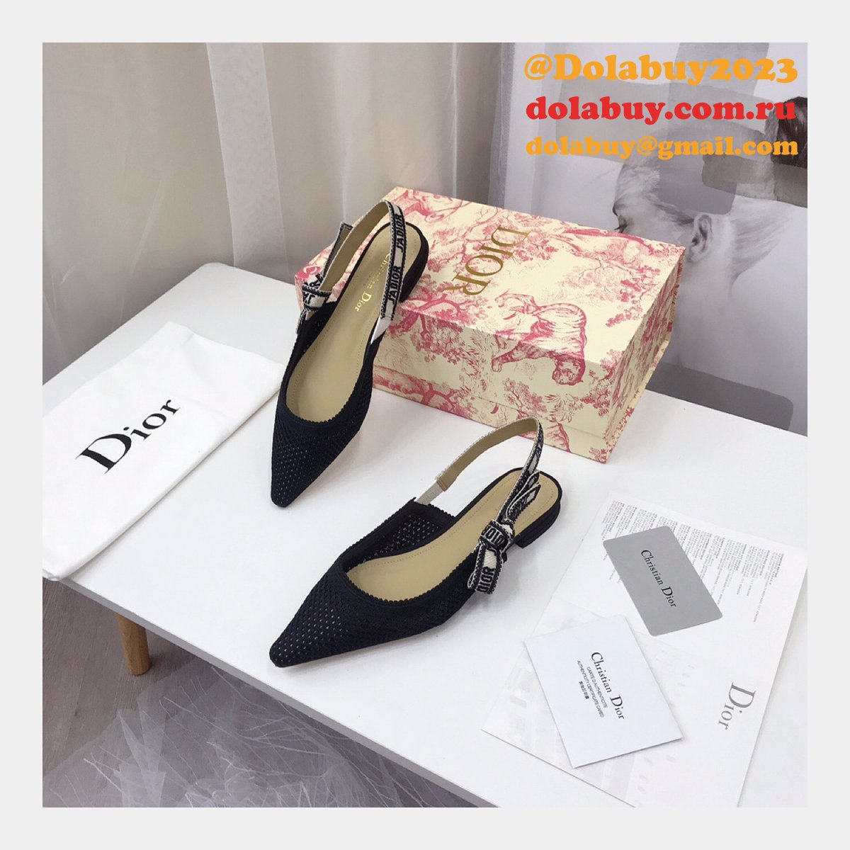 Luxury High Quality Fashion Designer Dior Shoes